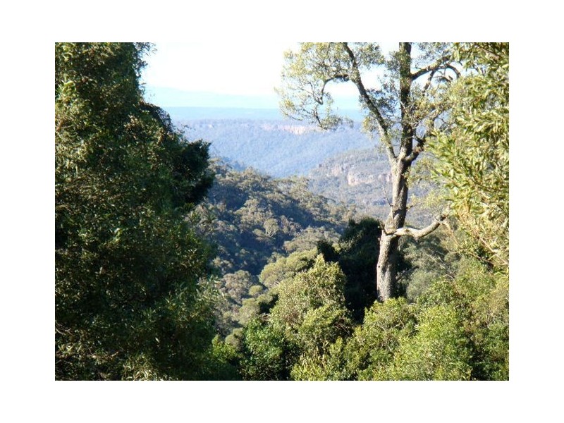 4008 Braidwood Road, Sassafras NSW 2622