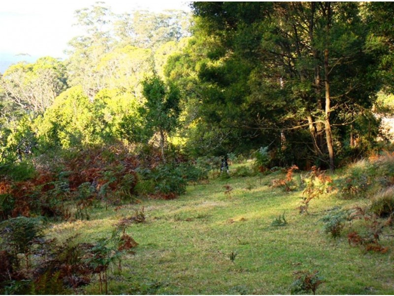 4008 Braidwood Road, Sassafras NSW 2622