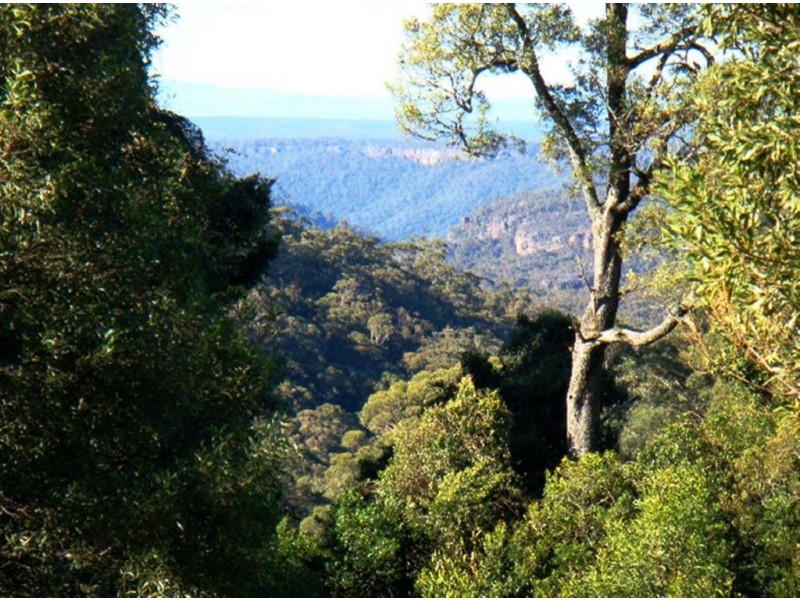 4008 Braidwood Road, Sassafras NSW 2622