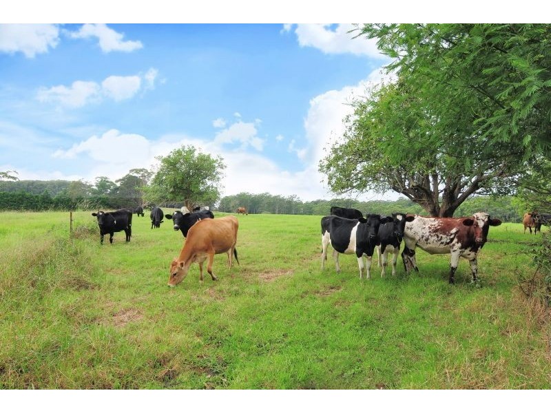 78 Harley Hill Rd, Berry NSW 2535