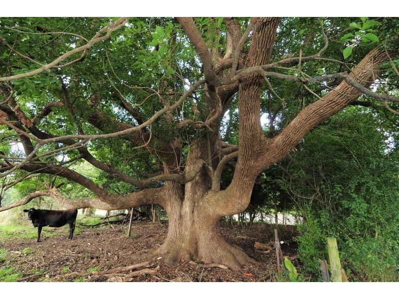 78 Harley Hill Rd, Berry NSW 2535