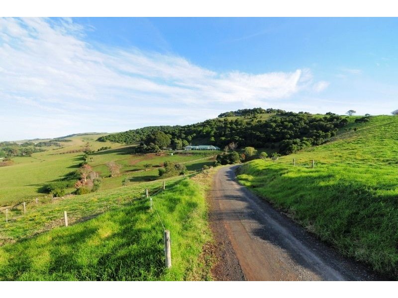 51 Saddleback Mountain Road, Kiama NSW 2533