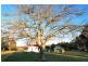 290 Hames Road, Falls Creek NSW 2540