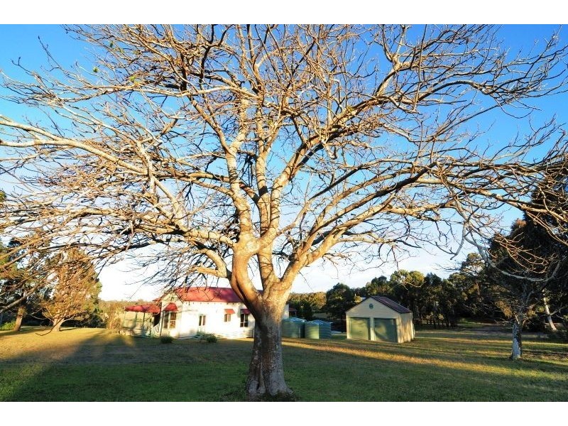 290 Hames Road, Falls Creek NSW 2540
