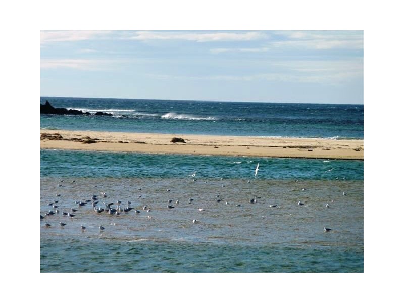 5/6 – 10 Boyd Street, Minnamurra NSW 2533