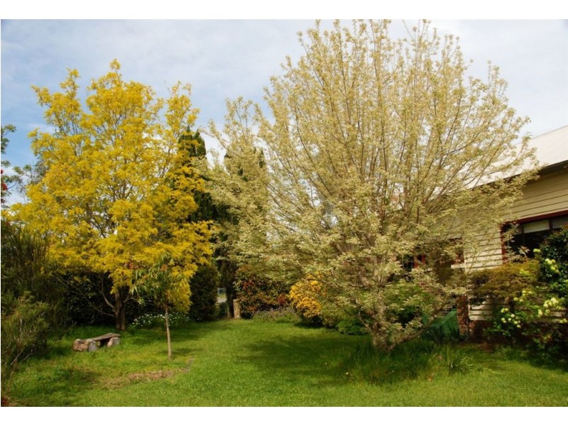 53 Victoria St, Berry NSW 2535