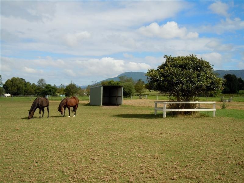 75 Jaspers Brush Road, Berry NSW 2535