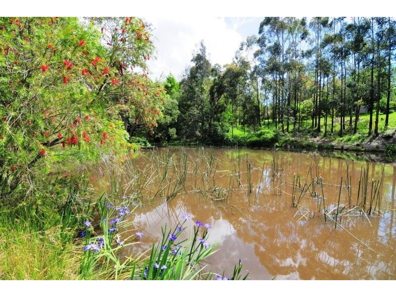 7 Kentia Cres, Berry NSW 2535