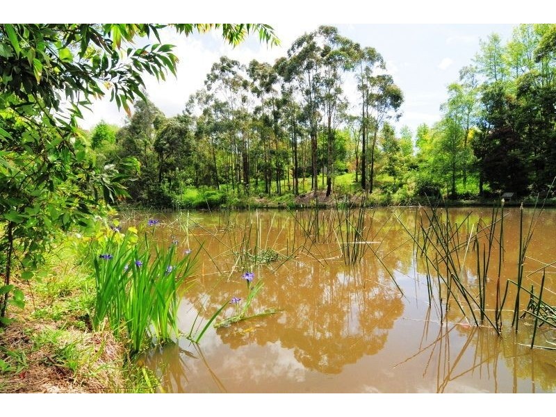 7 Kentia Cres, Berry NSW 2535