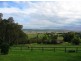 520c Coolangatta Road, Berry NSW 2535