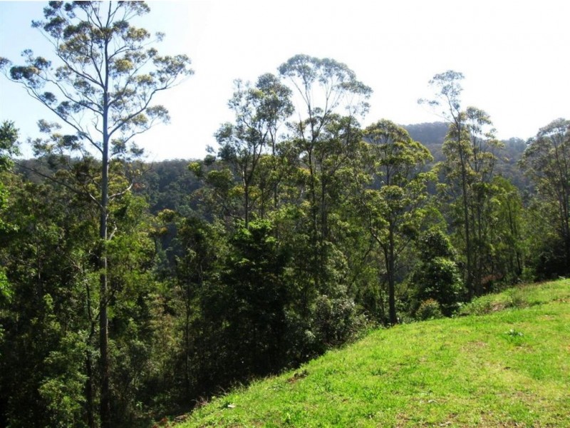 481 Woodhill Mountain Road, Berry NSW 2535