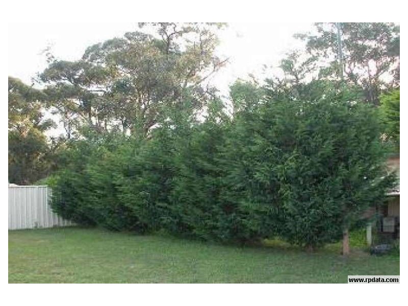 40 Scott Street, Shoalhaven Heads NSW 2535