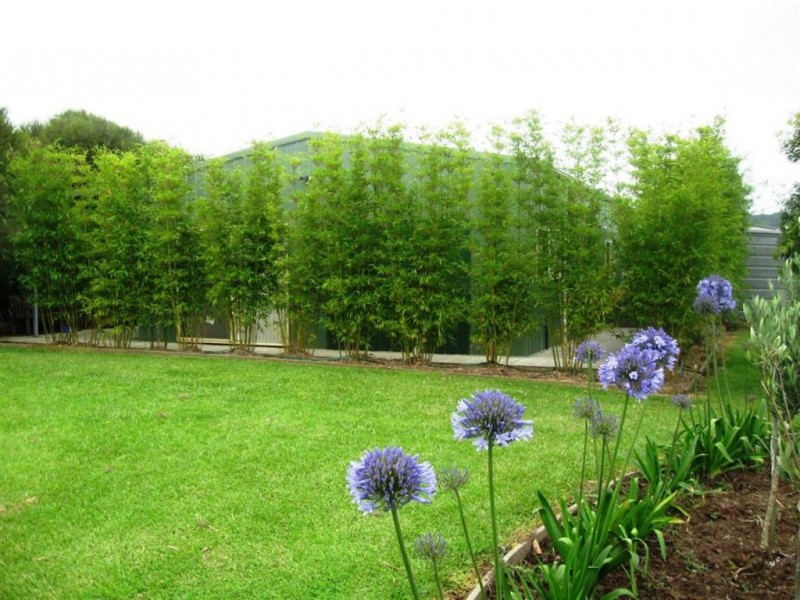 28a Ashworth Place, Berry NSW 2535