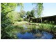 163A Wattamolla Road, Berry NSW 2535