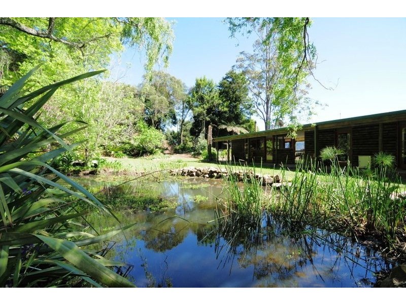 163A Wattamolla Road, Berry NSW 2535