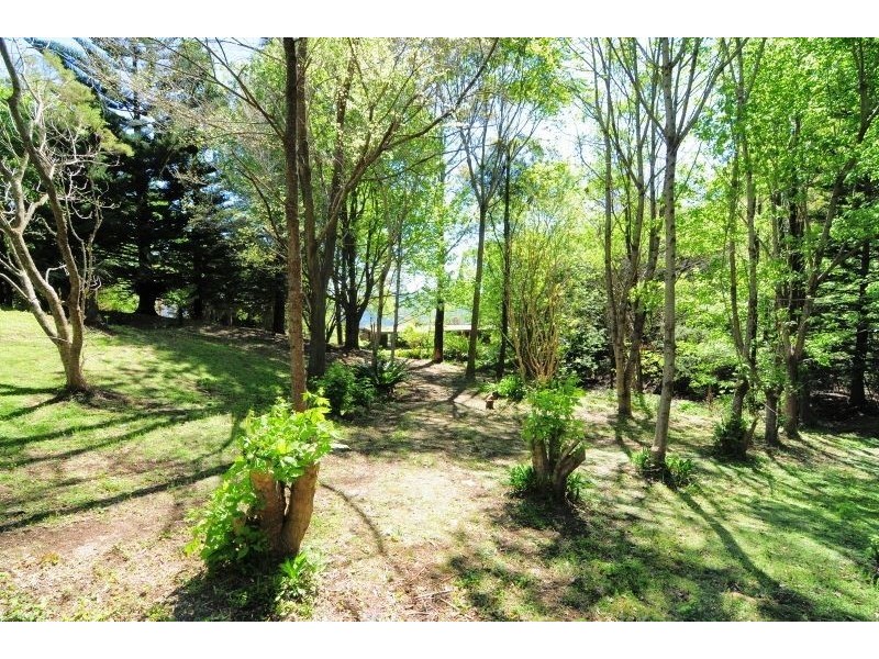 163A Wattamolla Road, Berry NSW 2535