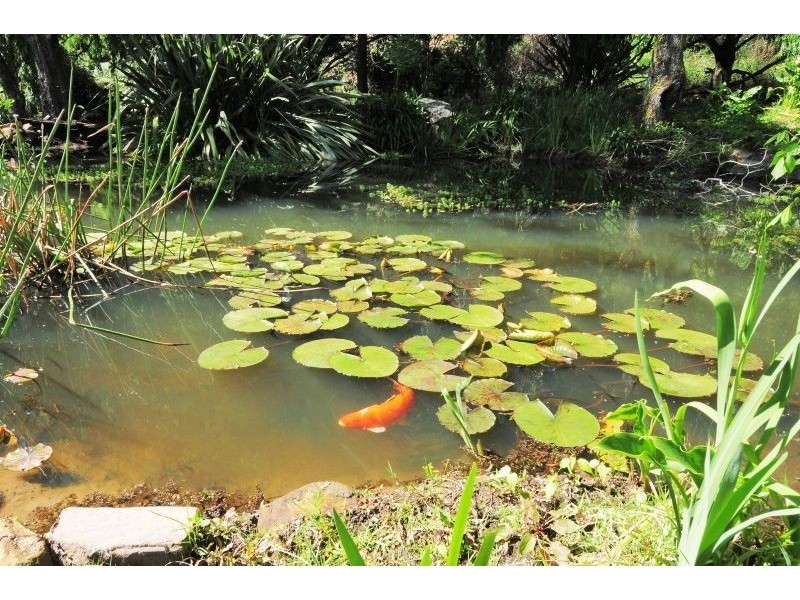 163A Wattamolla Road, Berry NSW 2535