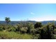 163A Wattamolla Road, Berry NSW 2535