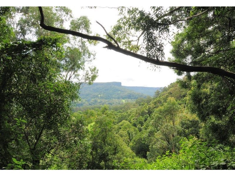 163A Wattamolla Road, Berry NSW 2535