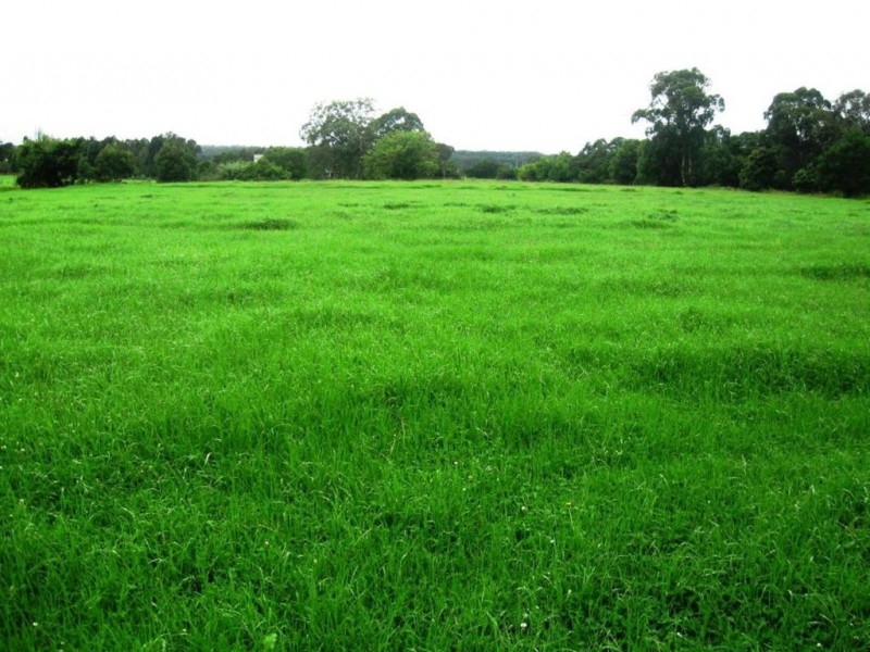 Lot 451 Boxsells Lane, Meroo Meadow NSW 2540