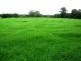 Lot 451 Boxsells Lane, Berry NSW 2535