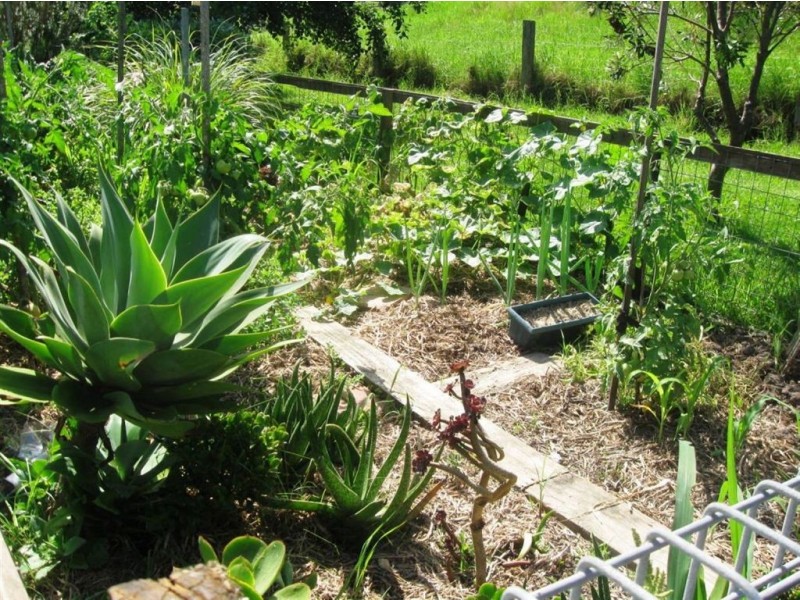 10d Jaspers Brush, Berry NSW 2535