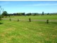 10d Jaspers Brush, Berry NSW 2535
