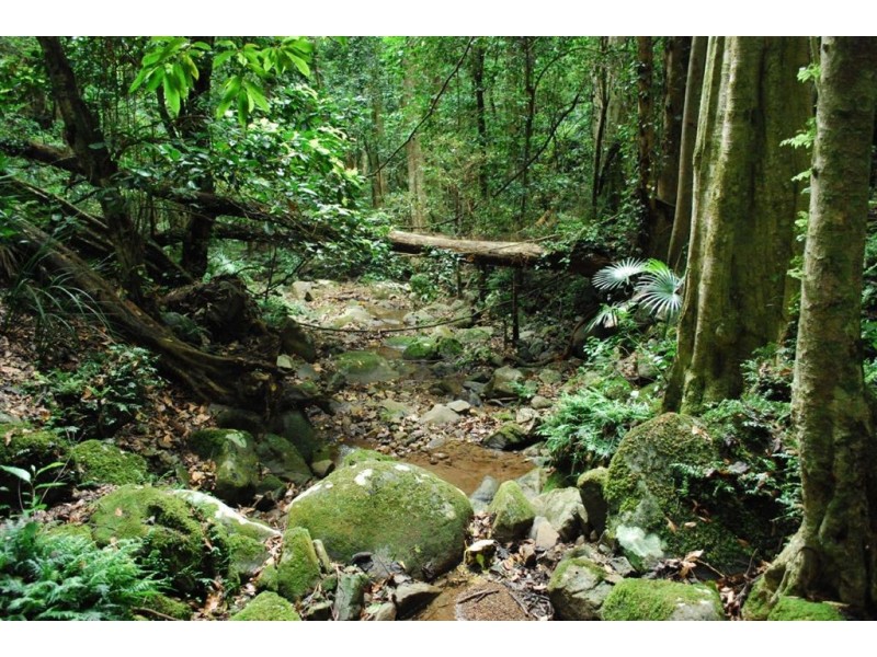 38 Ridge Lane, Berry NSW 2535