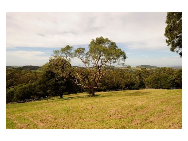 38 Ridge Lane, Foxground NSW 2534