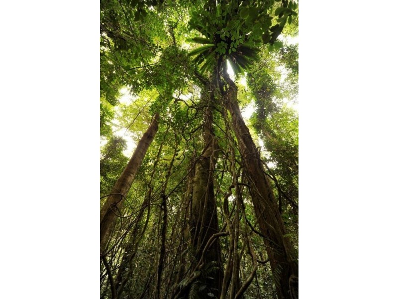 38 Ridge Lane, Foxground NSW 2534