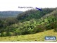 271 Tullouch Rd, Berry NSW 2535