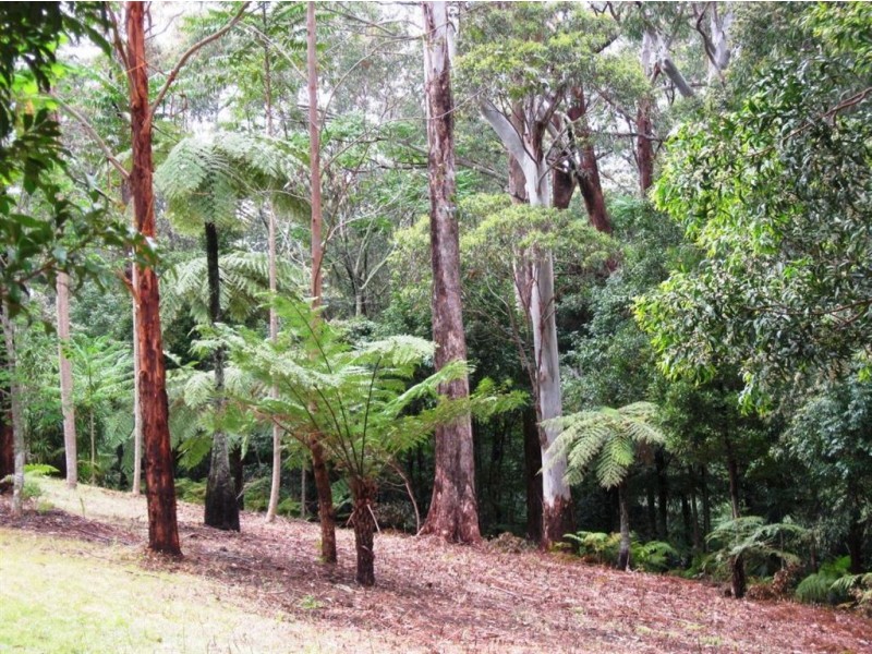 271 Tullouch Rd, Berry NSW 2535