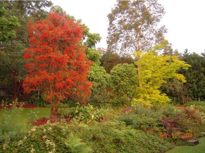 89B Mt Hay Road, Berry NSW 2535