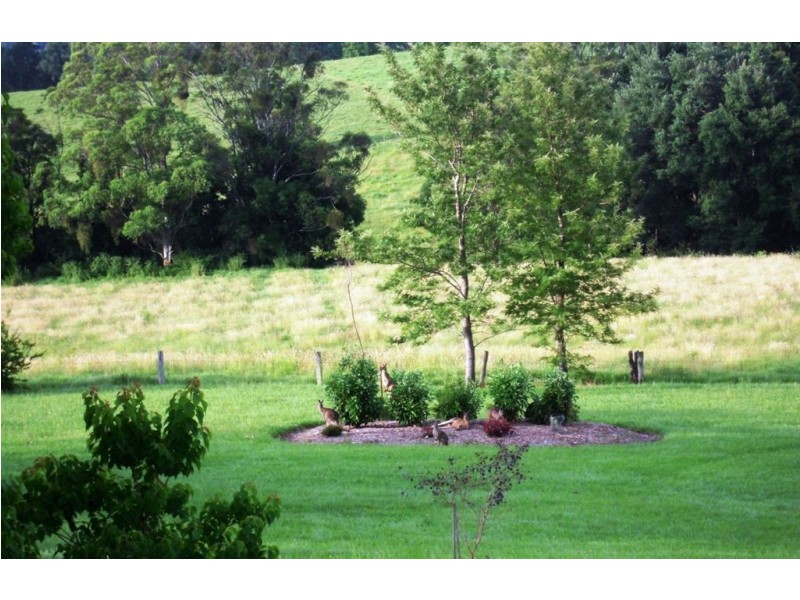 89B Mt Hay Road, Berry NSW 2535