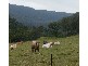 Kangaroo Valley NSW 2577