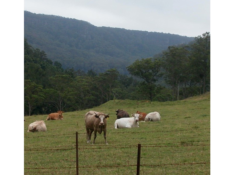 Kangaroo Valley NSW 2577