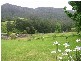 Kangaroo Valley NSW 2577