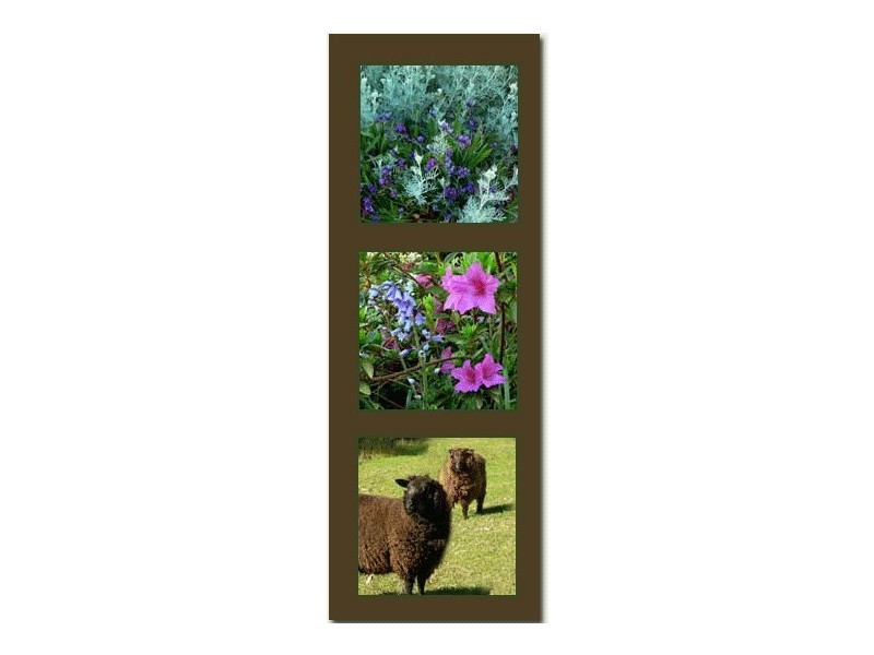 Berry NSW 2535