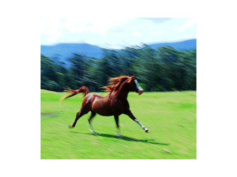 Kangaroo Valley NSW 2577