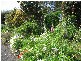 20 Davis Street, Leith TAS 7315