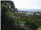 20 Davis Street, Leith TAS 7315
