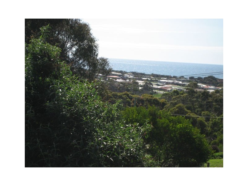 20 Davis Street, Leith TAS 7315