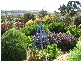 20 Davis Street, Leith TAS 7315