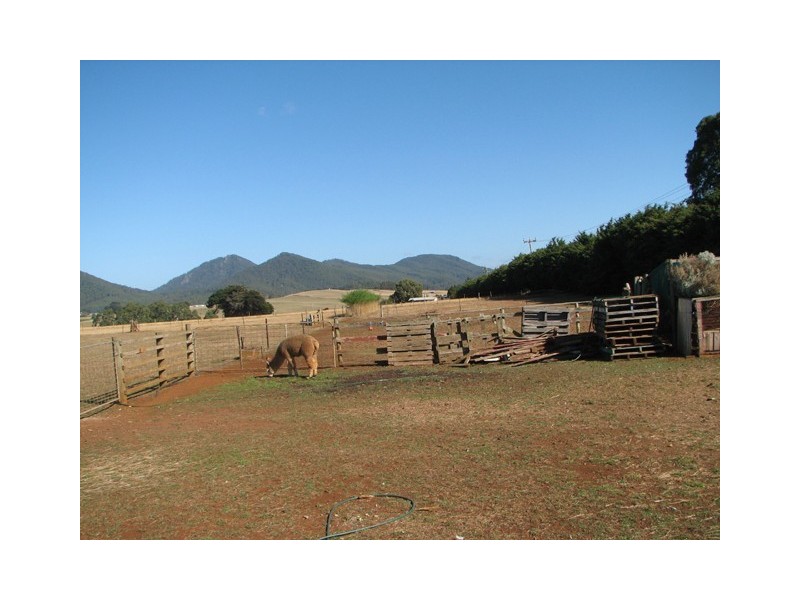 479 West Pine Road, Penguin TAS 7316