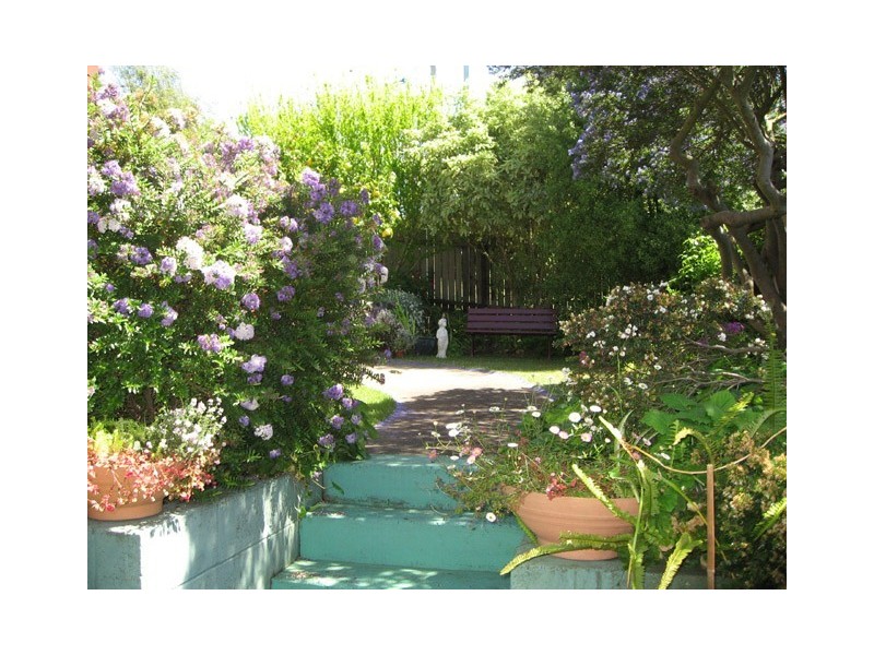 37 Appledore Street, Devonport TAS 7310