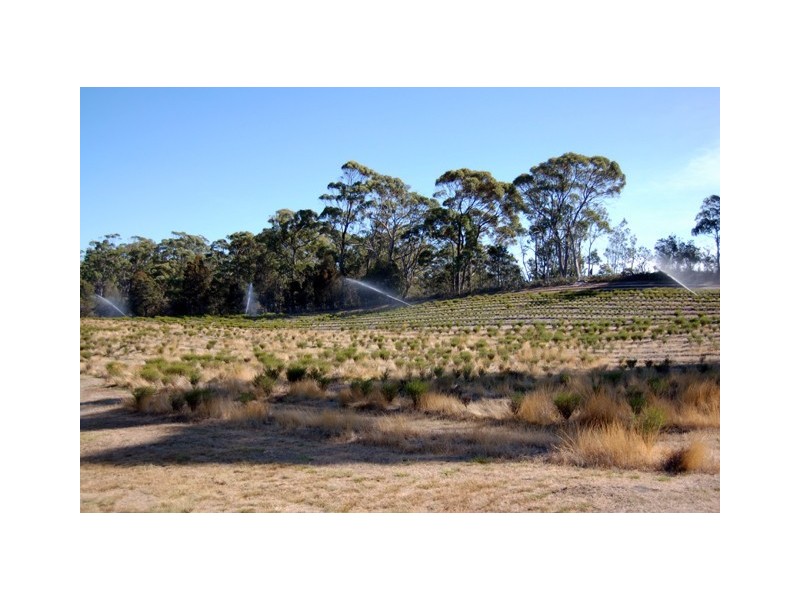 114 Alexander Street, Shearwater TAS 7307