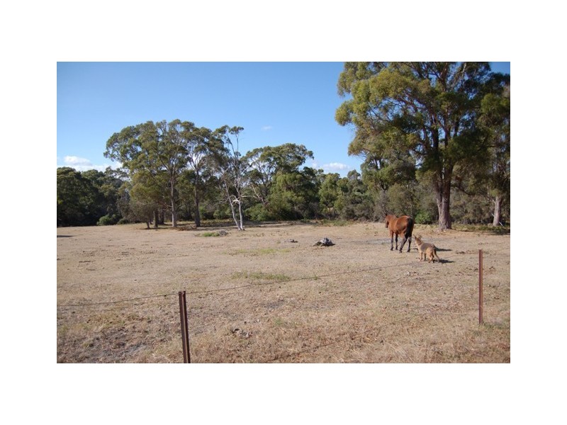 114 Alexander Street, Shearwater TAS 7307