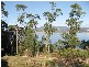 18 Oakwood Drive, Ambleside TAS 7310