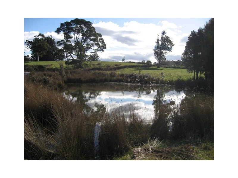 2 Mays Road, Sheffield TAS 7306