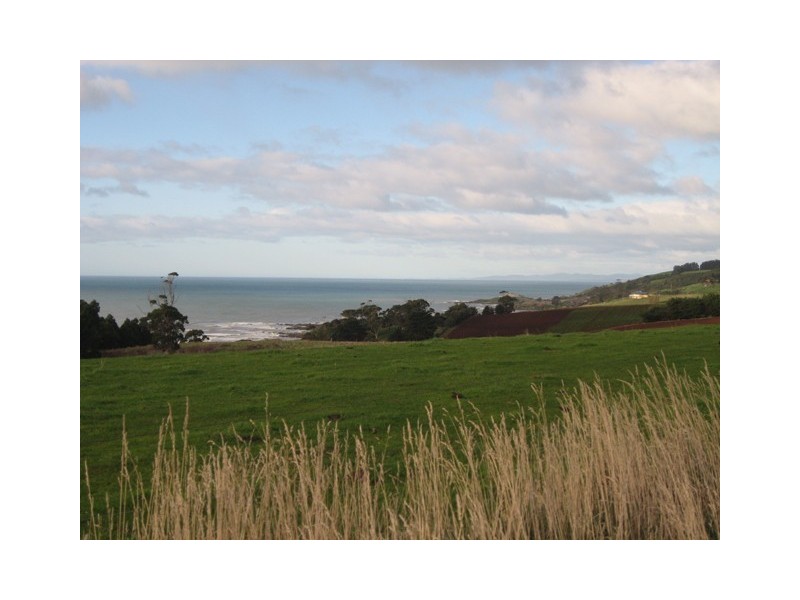 Lots 1-67 South Road, Penguin TAS 7316